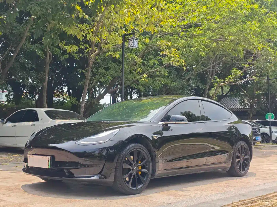 Tesla Model 3 Standard Range Rear-Wheel Drive Upgrade 2020