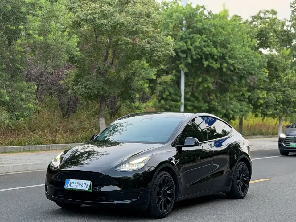 Tesla Model Y Rear-Wheel Drive Version 2022