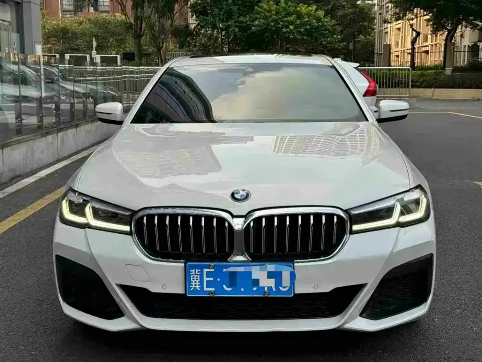 BMW 5 Series 530Li Leading M Sport Package 2020