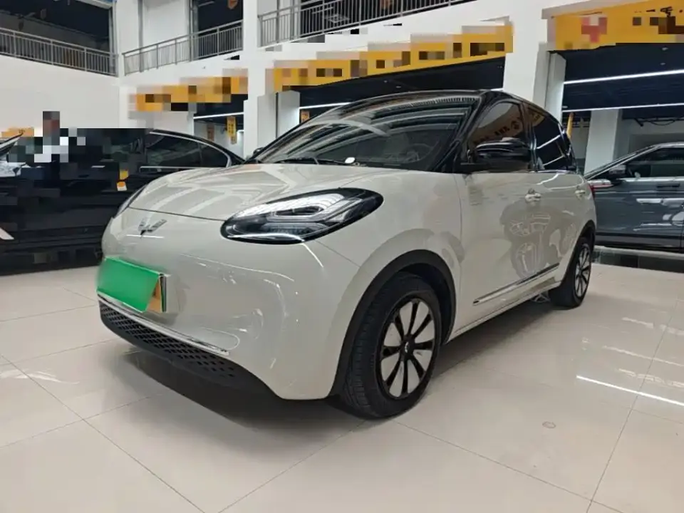 Wuling Motors Wuling Bingo 203km Comfort Version 2024