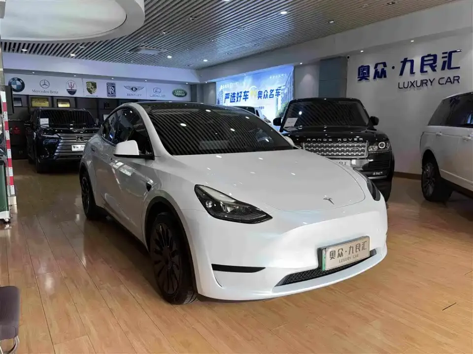 Tesla Model Y Rear-Wheel Drive Version 2022