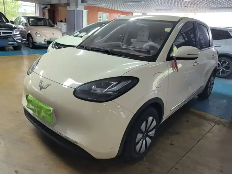 Wuling Motors Wuling Bingo Model 333km Smart Connect 2025
