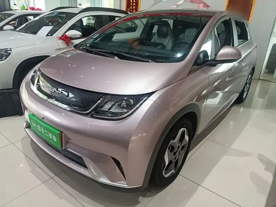 BYD Dolphin Model 405km Fashion Edition 2022