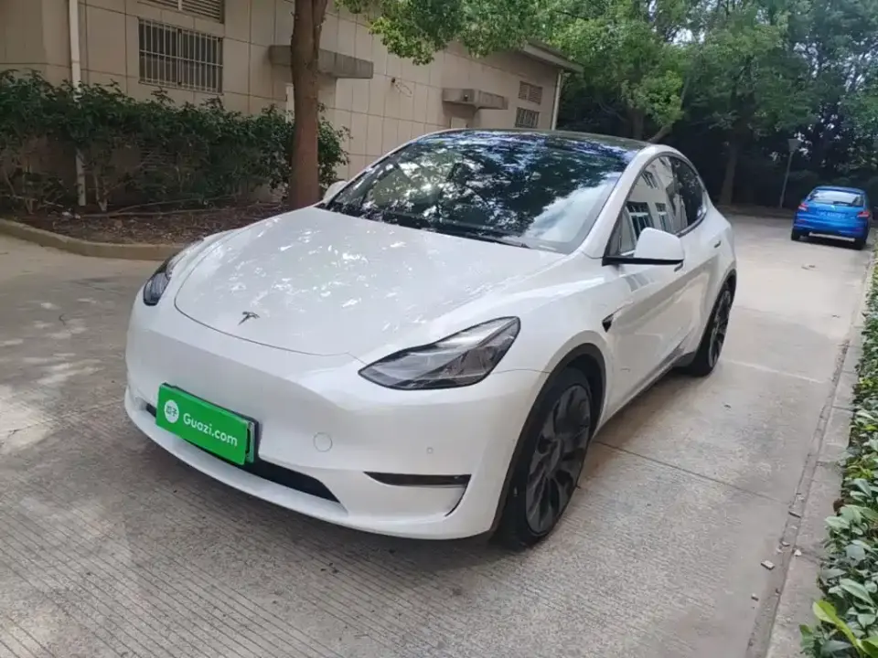 Tesla Model Y Performance High-Performance AWD 2021