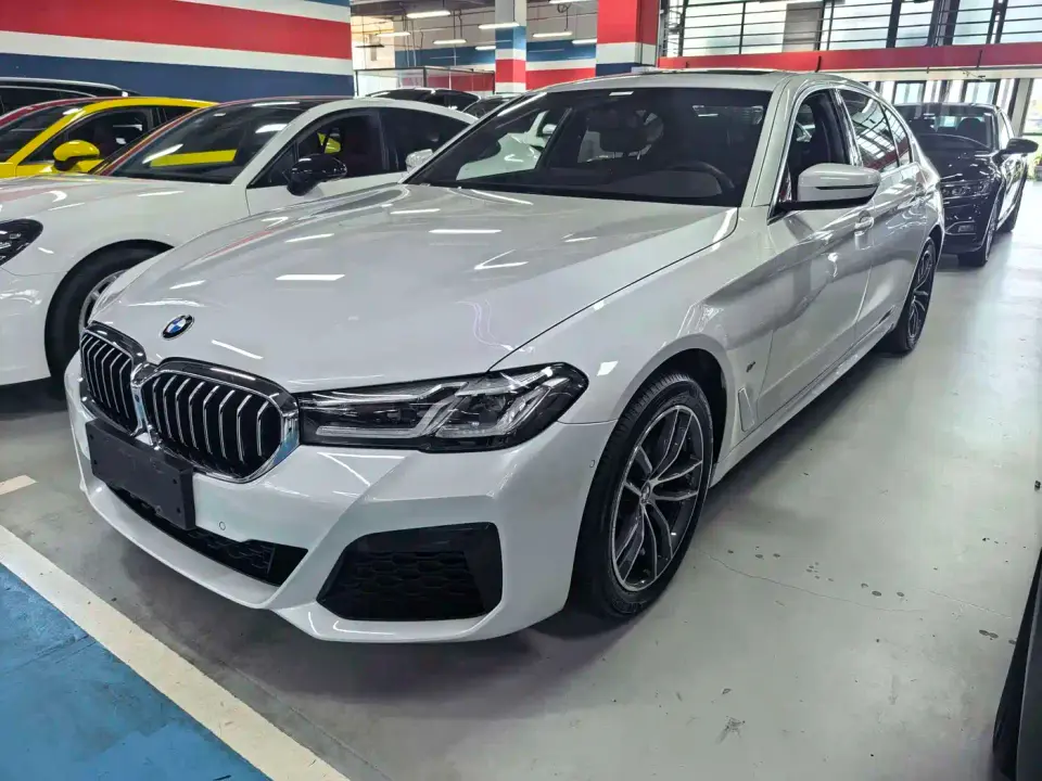 BMW 5 Series 525Li Luxury Package 2021