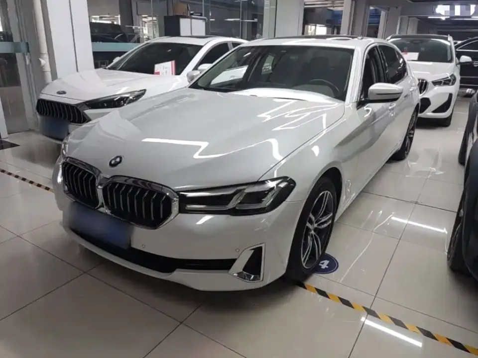BMW 5 Series 530Li Leading Luxury Package 2021