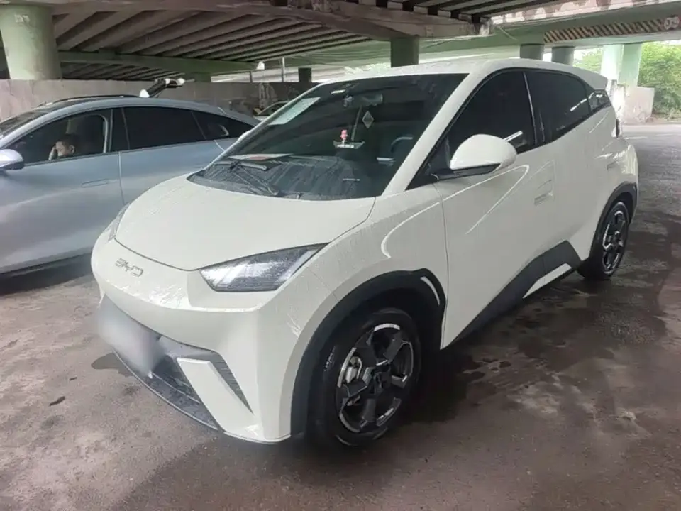 BYD Seagull Glory Edition 305km Freedom Edition 2024