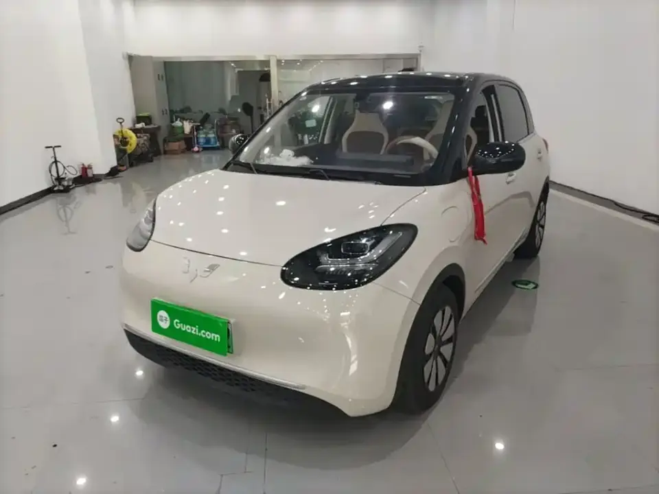 Wuling Motors Wuling Bingo Model 333km Joy Edition 2025