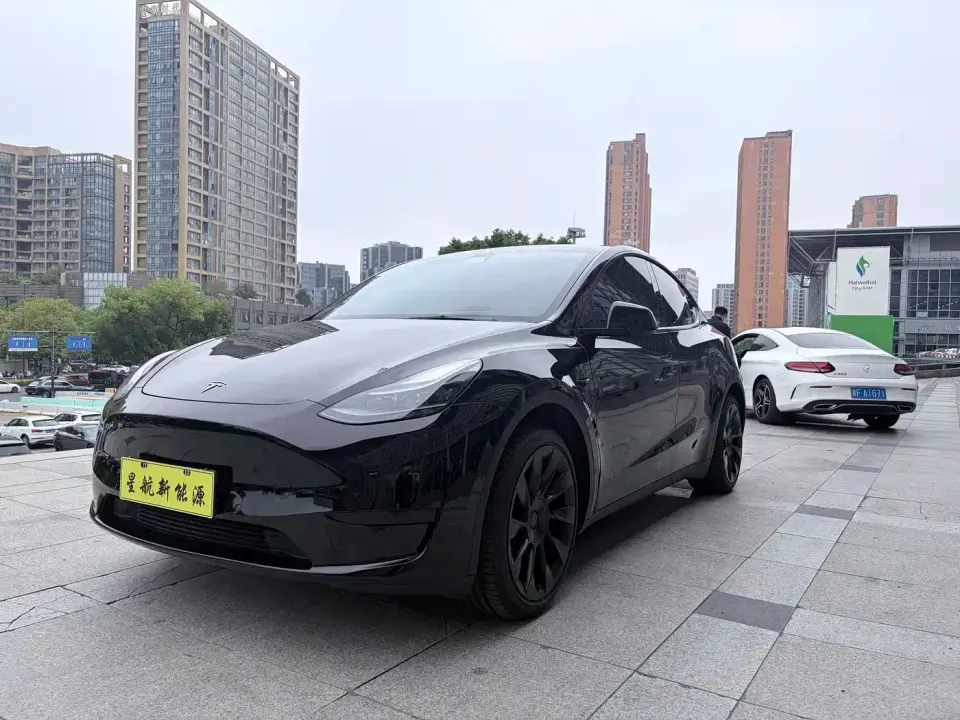 Tesla Model Y Rear-Wheel Drive Version 2023