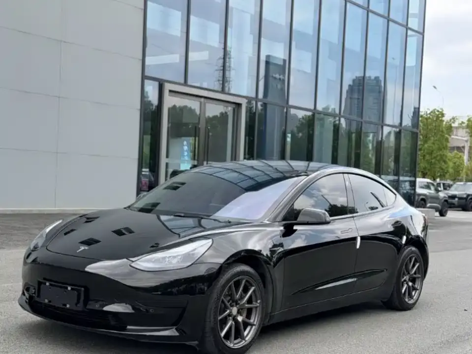 Tesla Model 3 Model Rear-Wheel Drive Version 2022