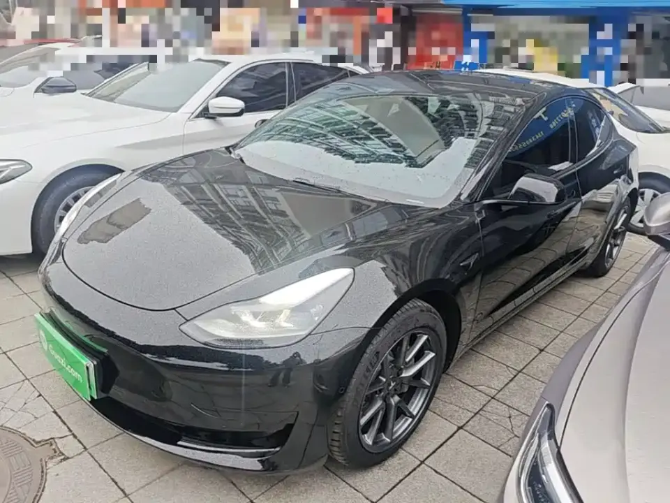 Tesla Model 3 Standard Range Rear-Wheel Drive Upgrade 3D6 2021