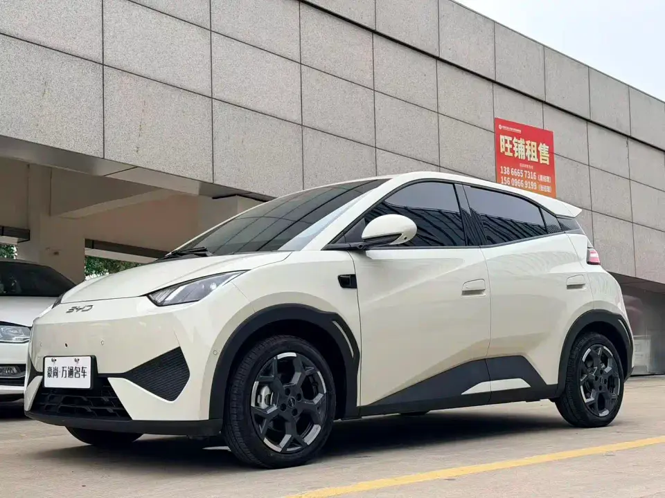 BYD Seagull Smart Drive Edition 305km Freedom Version 2026
