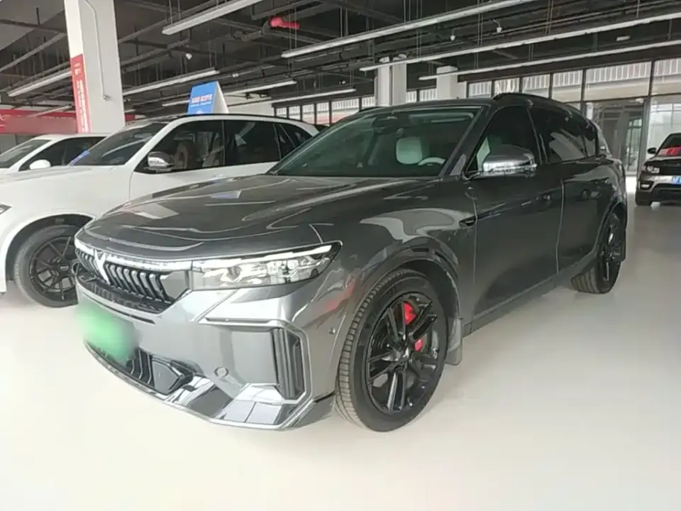 Voyah Auto VOYAH FREE 318 318km RWD Touring Edition 2024