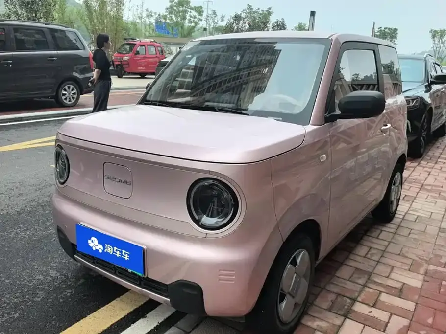 Geely Galaxy Panda Panda mini 200km Endurance Bear 2024