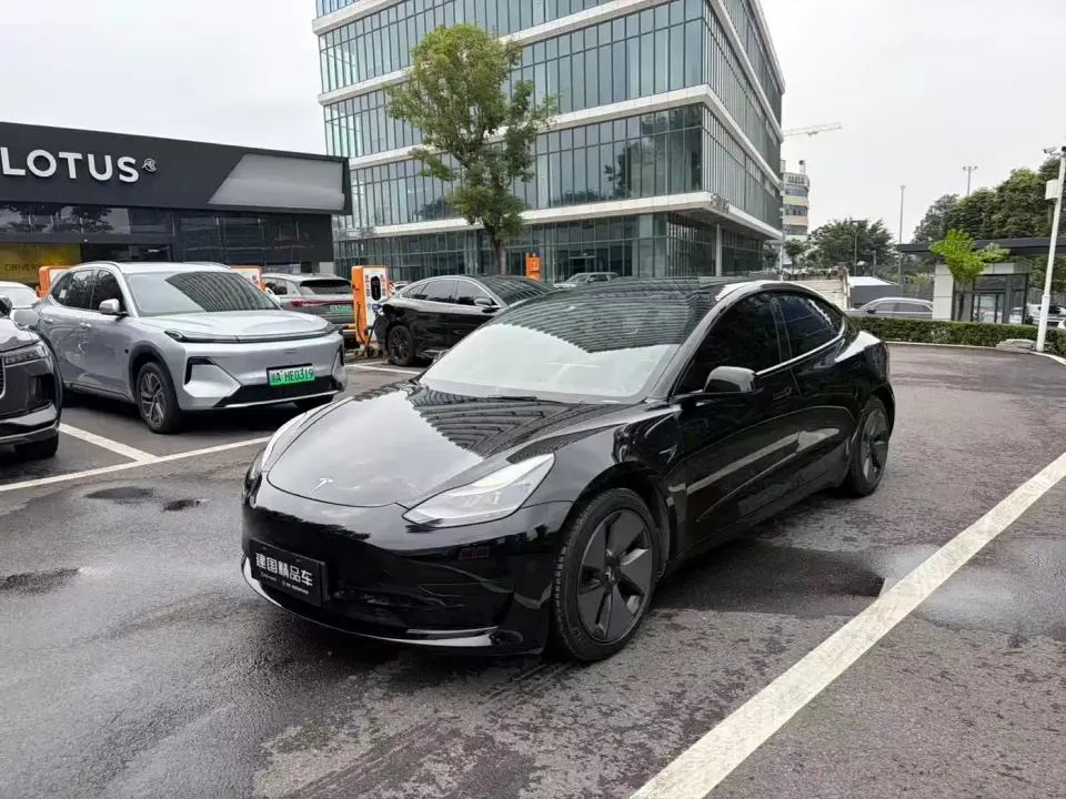 Tesla Model 3 Standard Range Rear-Wheel Drive Upgrade 3D6 2021