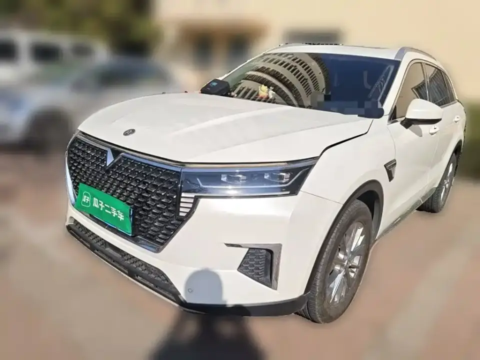 Venucia Star 260T Automatic 48V Mild Hybrid Turbo Star Enjoy Edition 2020
