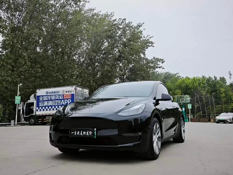 Tesla Model Y Standard Range Rear-Wheel Drive 2021
