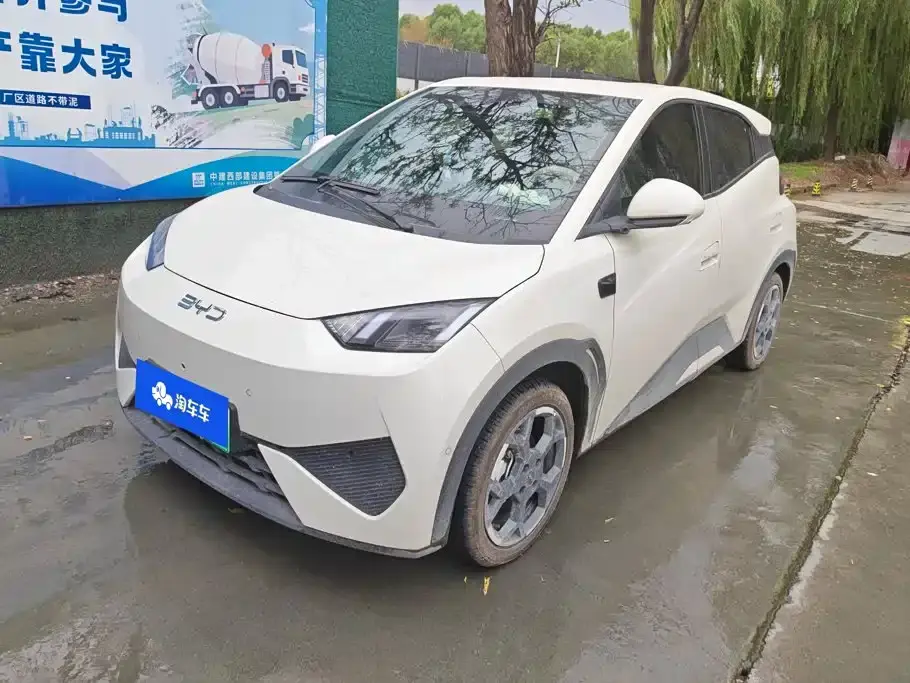 BYD Seagull Smart Drive Edition 305km Freedom Version 2025