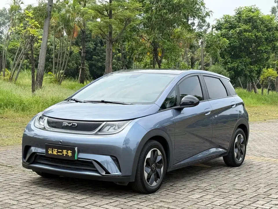 BYD Dolphin Glory Edition 420km Fashion Edition 2024