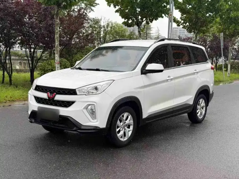 Wuling Motors Wuling Hongguang S3 1.5L Manual Comfort China V 2019