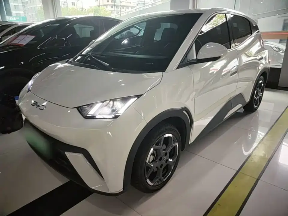 BYD Seagull Glory Edition 305km Vitality Edition 2024