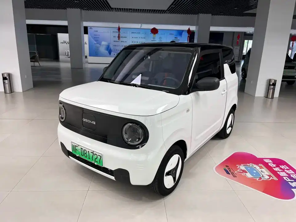 Geely Galaxy Panda Panda Mini New Year Edition - Treasure Bear 2023