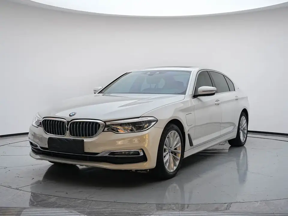 BMW 5 Series New Energy 530Le Luxury Package 2019