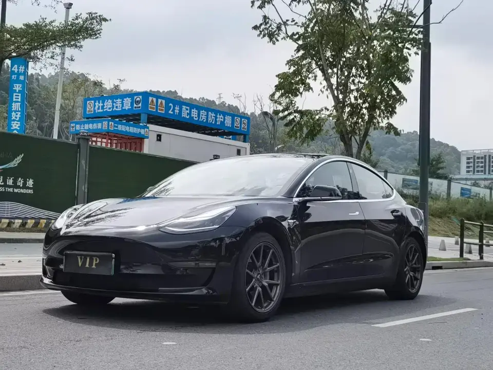 Tesla Model 3 (Import) Long Range All-Wheel Drive Edition 2019