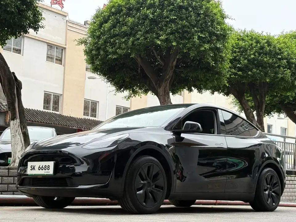 Tesla Model Y Rear-Wheel Drive Edition 2024