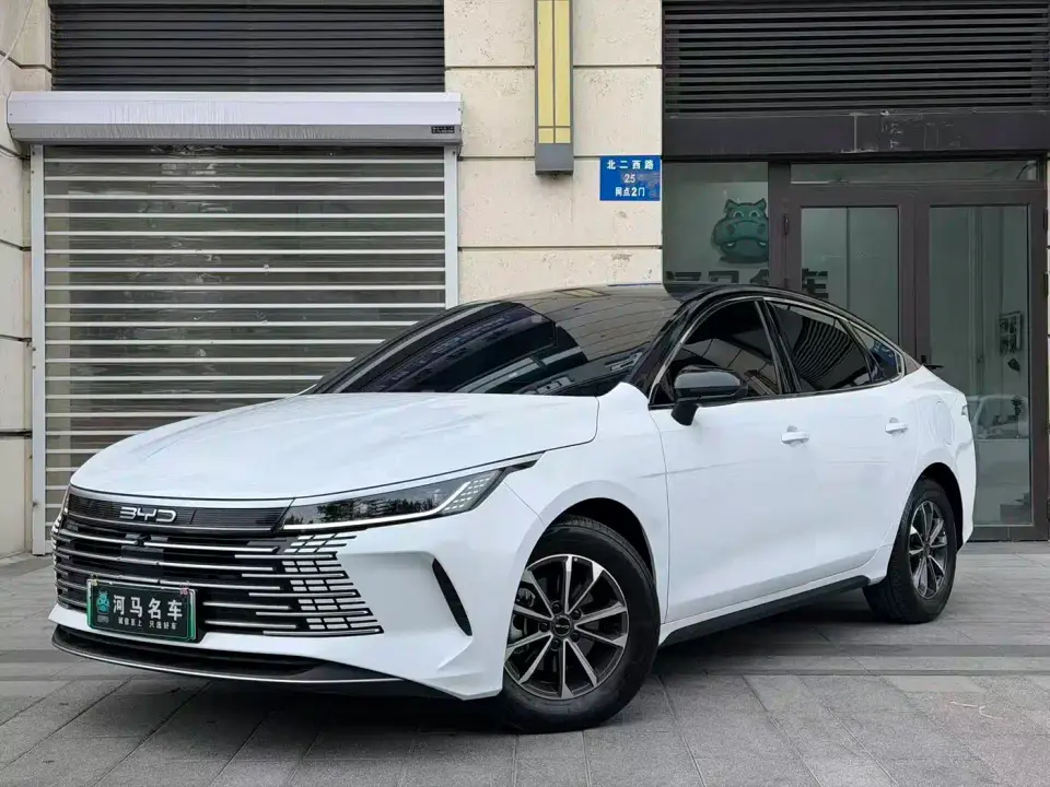 BYD Destroyer 05 Glory Edition DM-i 55KM Luxury 2024