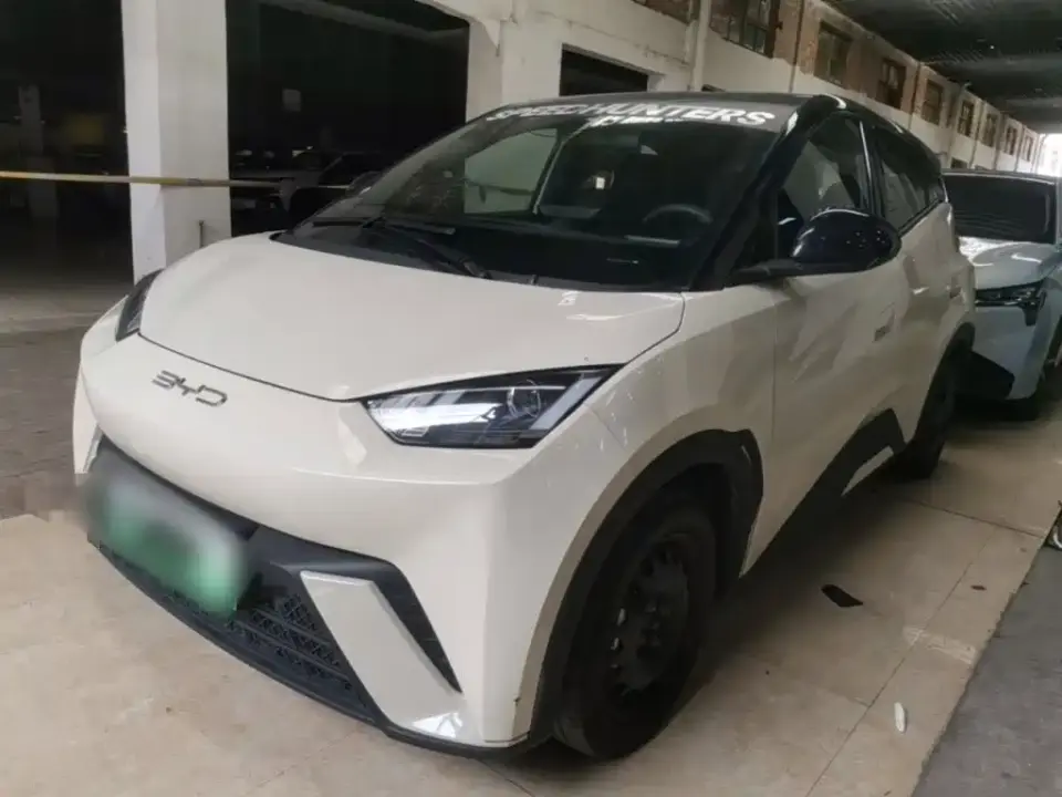 BYD Seagull Glory Edition 305km Vitality Edition 2024