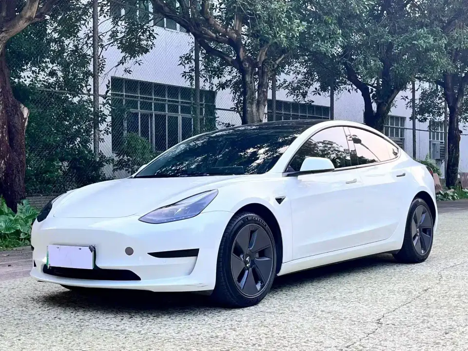 Tesla Model 3 Standard Range Rear-Wheel Drive Upgrade 2021