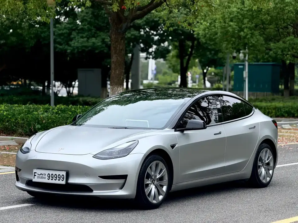 Tesla Model 3 Standard Range Rear-Wheel Drive Upgrade 3D6 2021