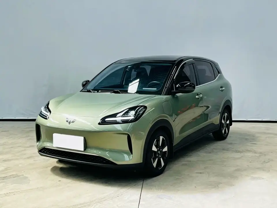 Wuling Motors Wuling Binguo PLUS Model 510km Flagship Edition 4-Seater 2024