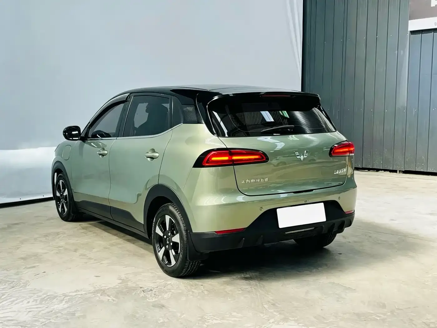Wuling Motors Wuling Binguo PLUS Model 510km Flagship Edition 4-Seater 2024 — фото 4