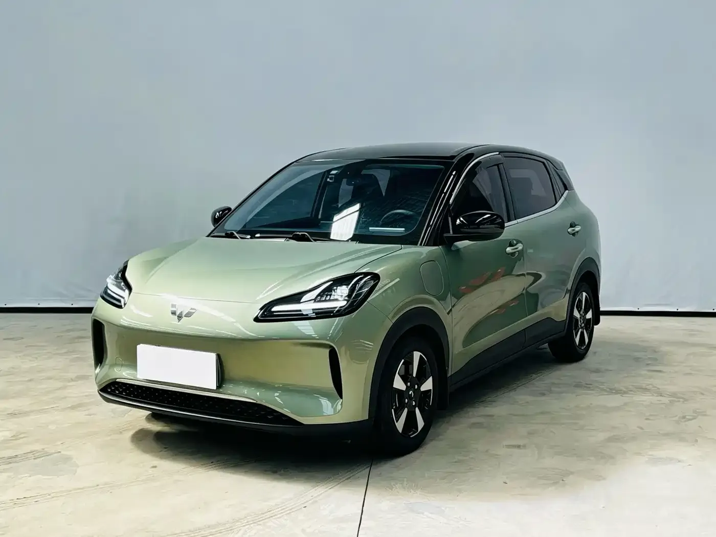 Wuling Motors Wuling Binguo PLUS Model 510km Flagship Edition 4-Seater 2024