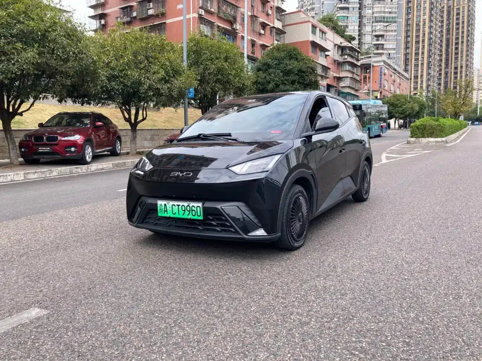 BYD Seagull Vitality Edition 2023