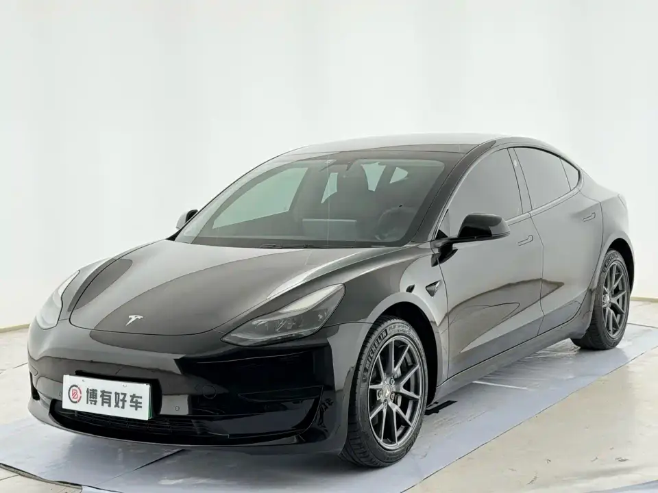 Tesla Model 3 Standard Range Rear-Wheel Drive Upgrade 3D6 2021