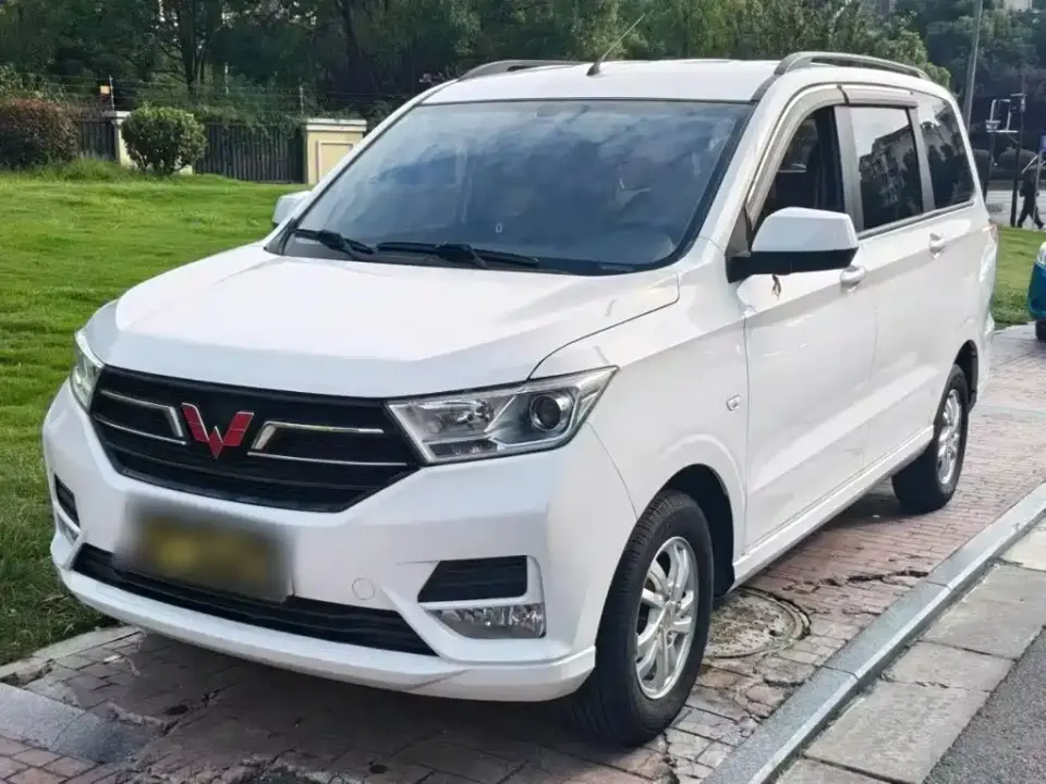 Wuling Motors Wuling Hongguang 1.5L S Comfort China VI LAR 2020