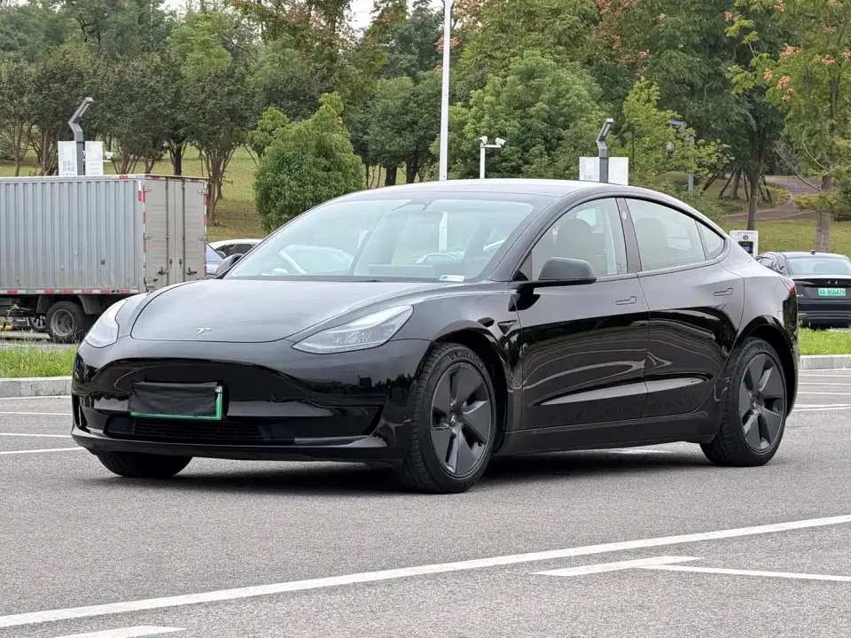 Tesla Model 3 Standard Range Rear-Wheel Drive Upgrade 3D6 2021