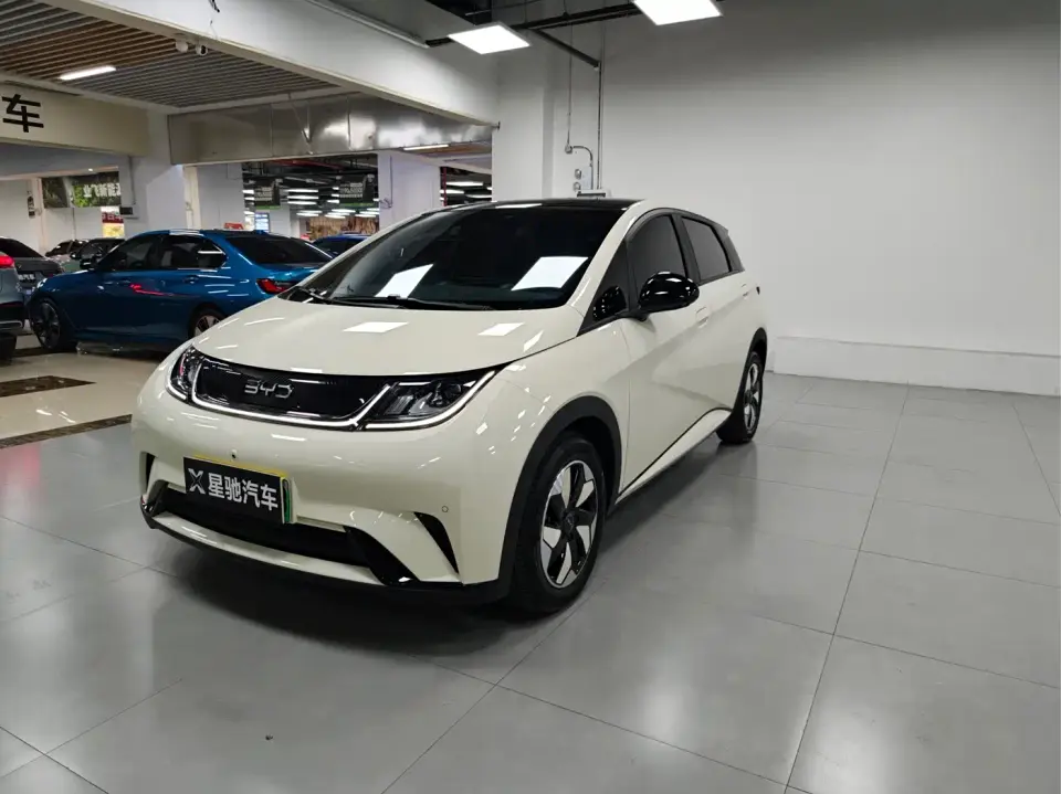 BYD Dolphin Glory Edition 420km Fashion Edition 2024