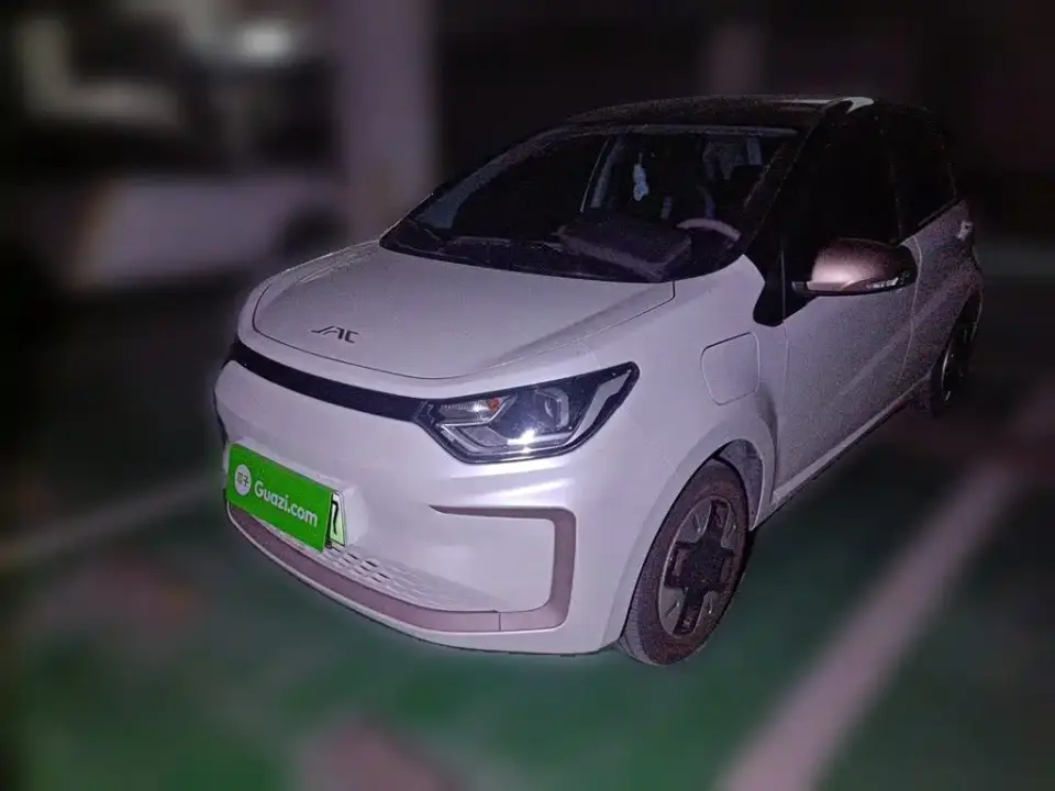 JAC Yiwei Yttrium Flower Fairy Beloved Edition 301km Lite 2024