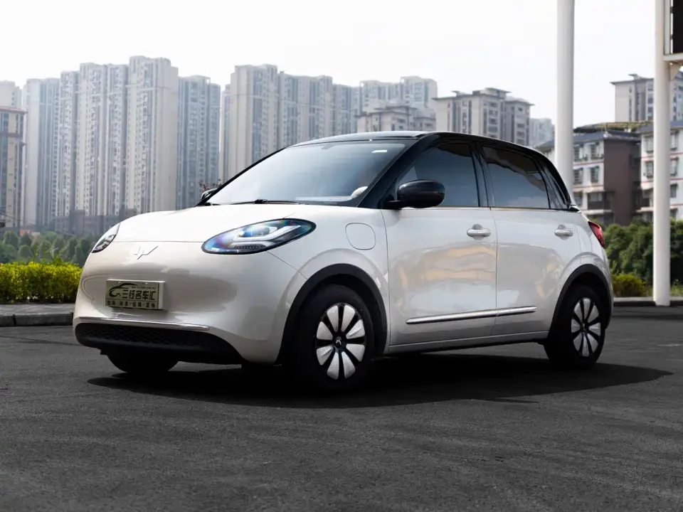 Wuling Motors Wuling Bingo 333km Comfort Edition 2024
