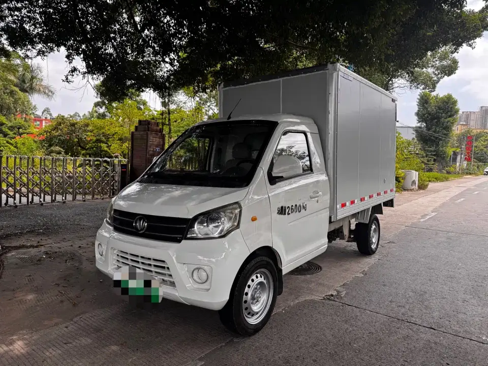 New Longma Auto Qiteng N50EV CATL Composite Panel Cargo Van 300km 2021