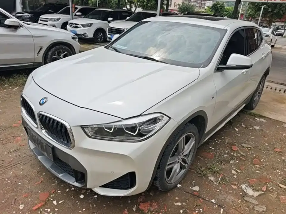 BMW X2 sDrive25i Leading M Off-Road Package 2019