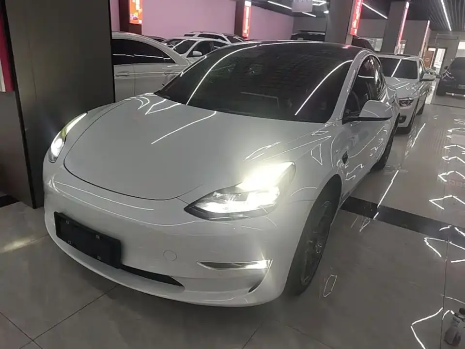 Tesla Model 3 Model Rear-Wheel Drive Version 2022