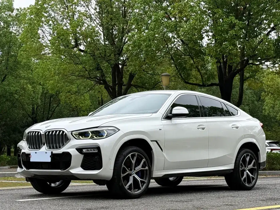 BMW X6 xDrive40i Exclusive M Sport Package 2020