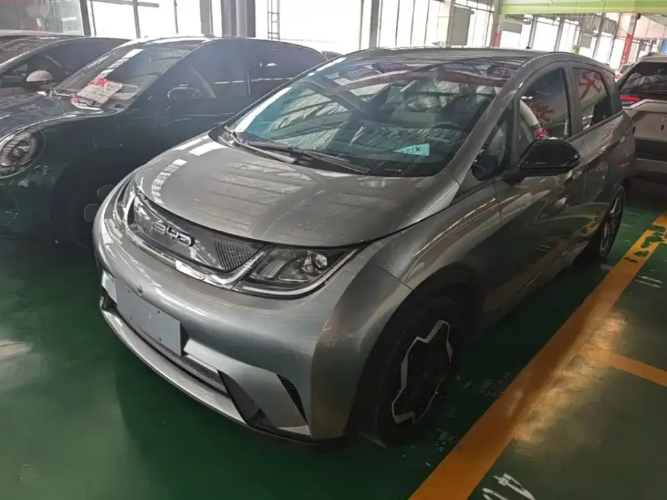BYD Dolphin Model 405km Fashion Edition 2022