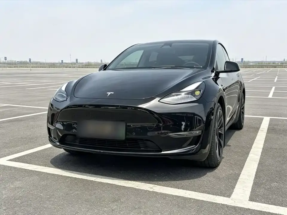 Tesla Model Y Standard Range Rear-Wheel Drive 2021