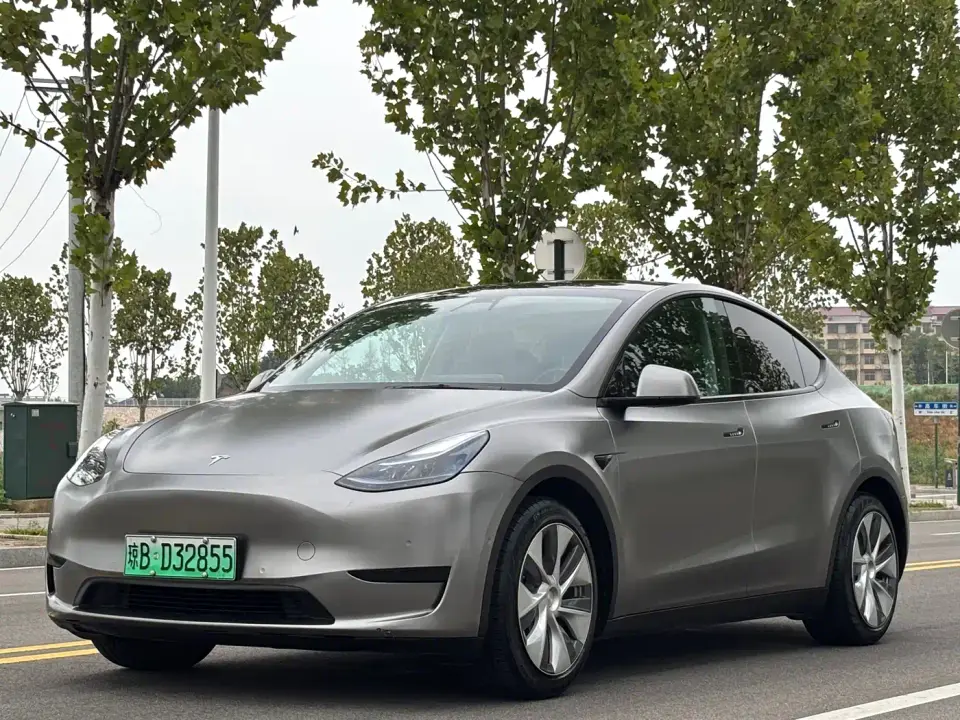 Tesla Model Y Rear-Wheel Drive Version 2022
